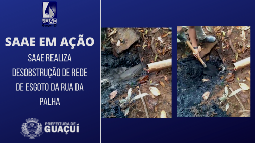 SAAE EM AÇÃO SAAE EM AÇÃO